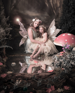 The Enchanted Forest - fairies and elves